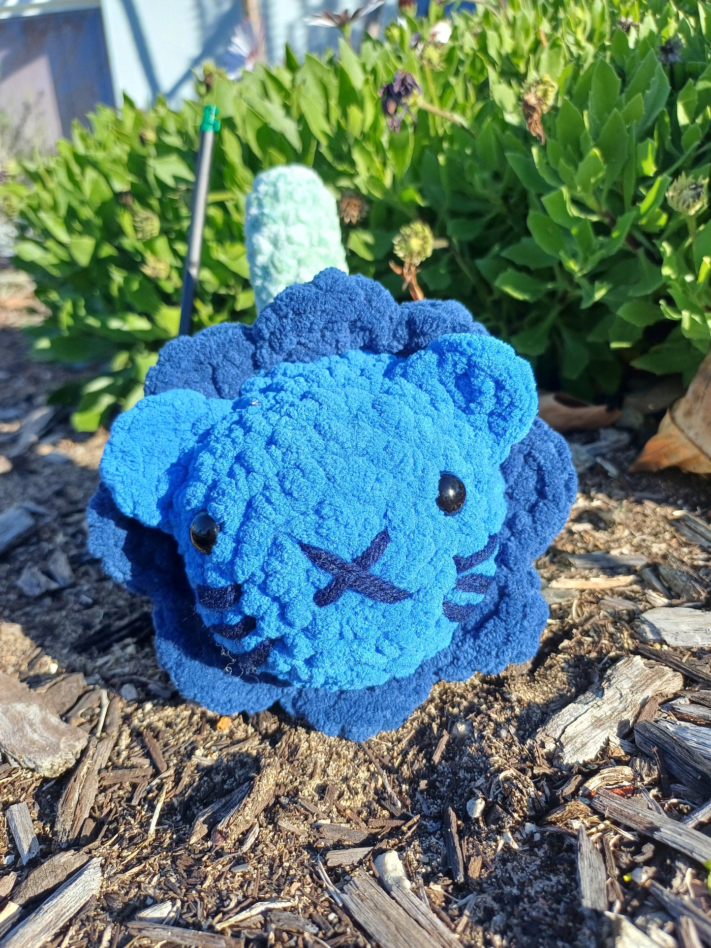 Navy/Blue Flower Loaf Cat