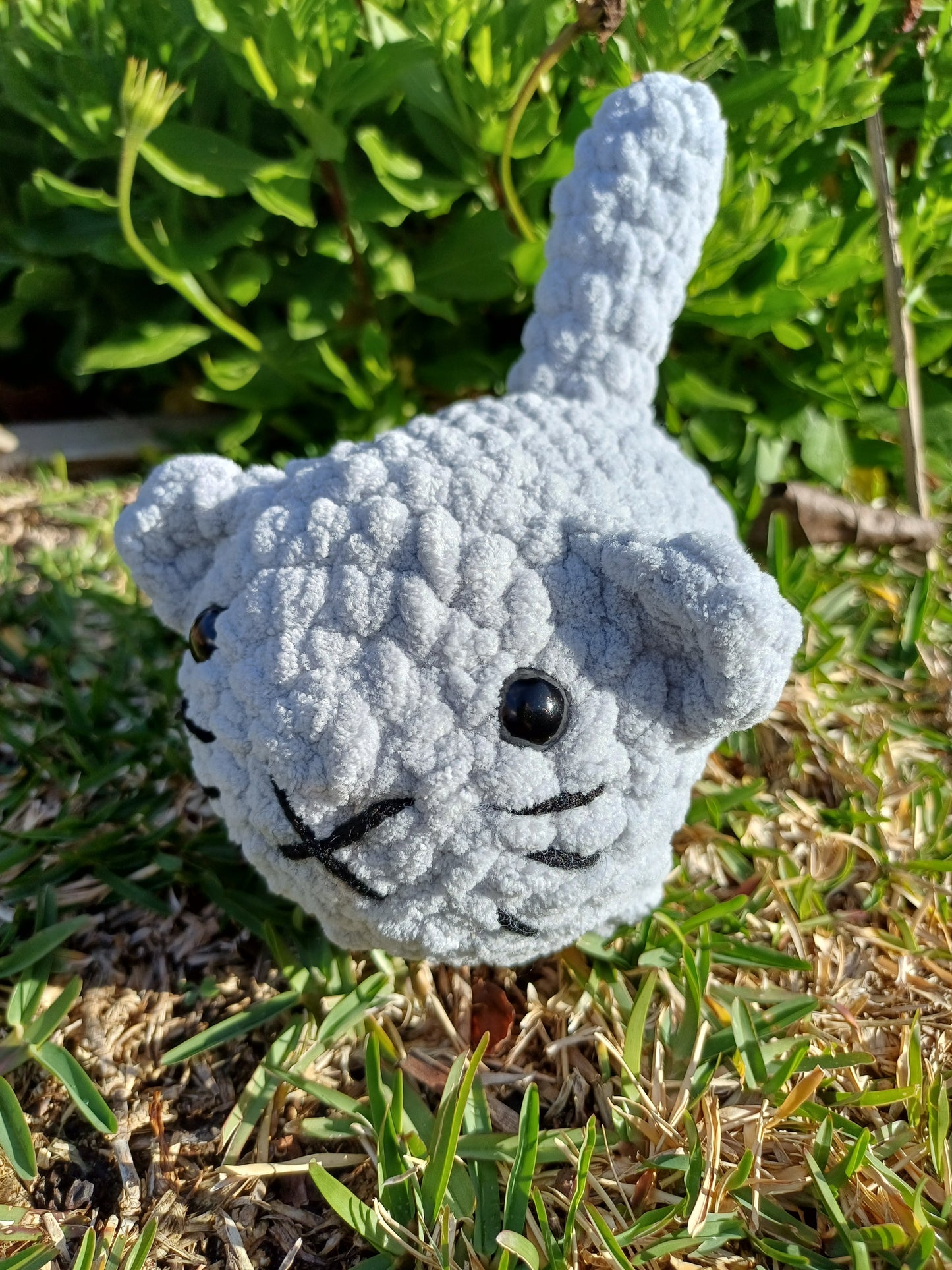 Light Grey Loaf Cat