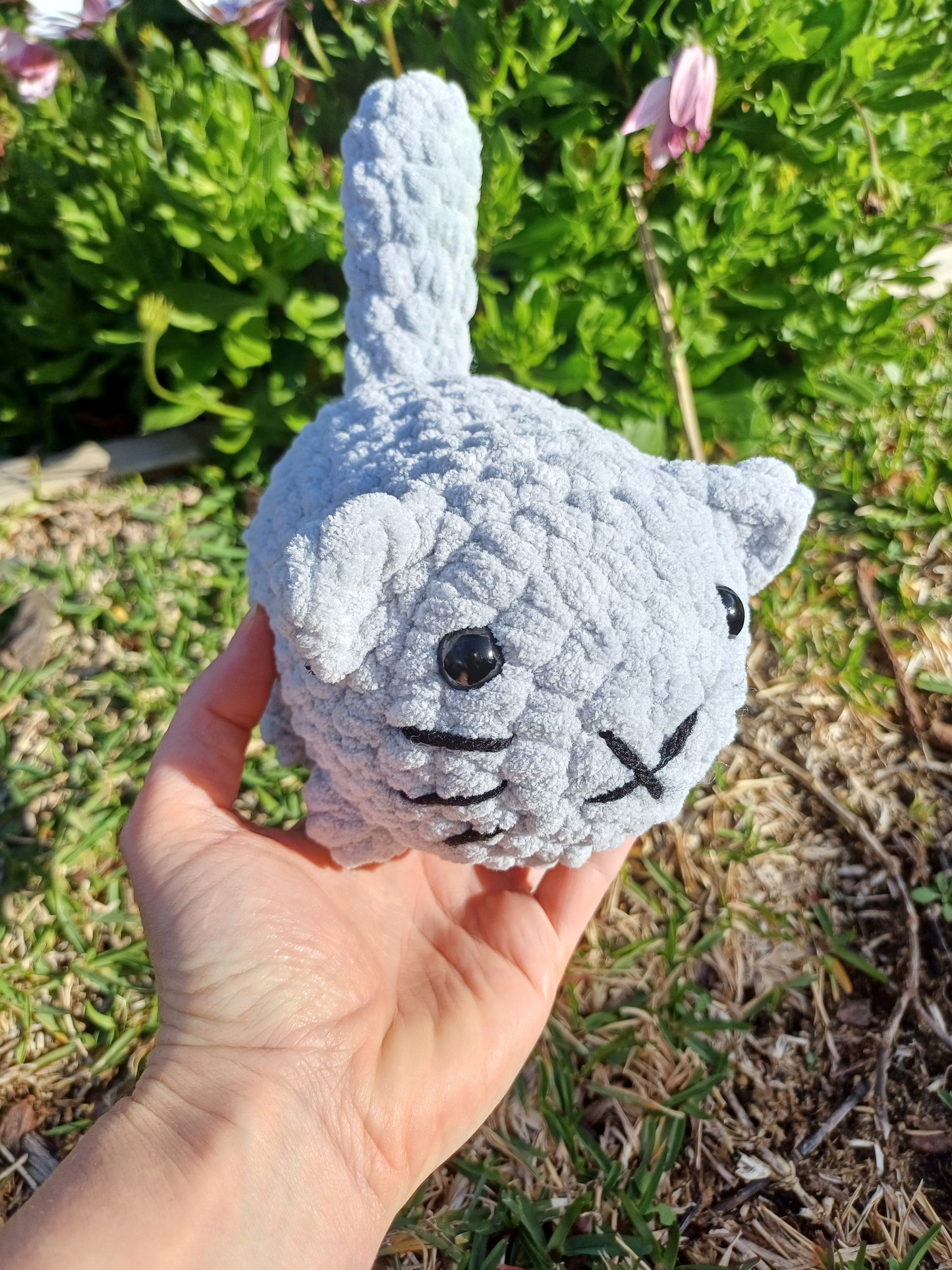 Light Grey Loaf Cat