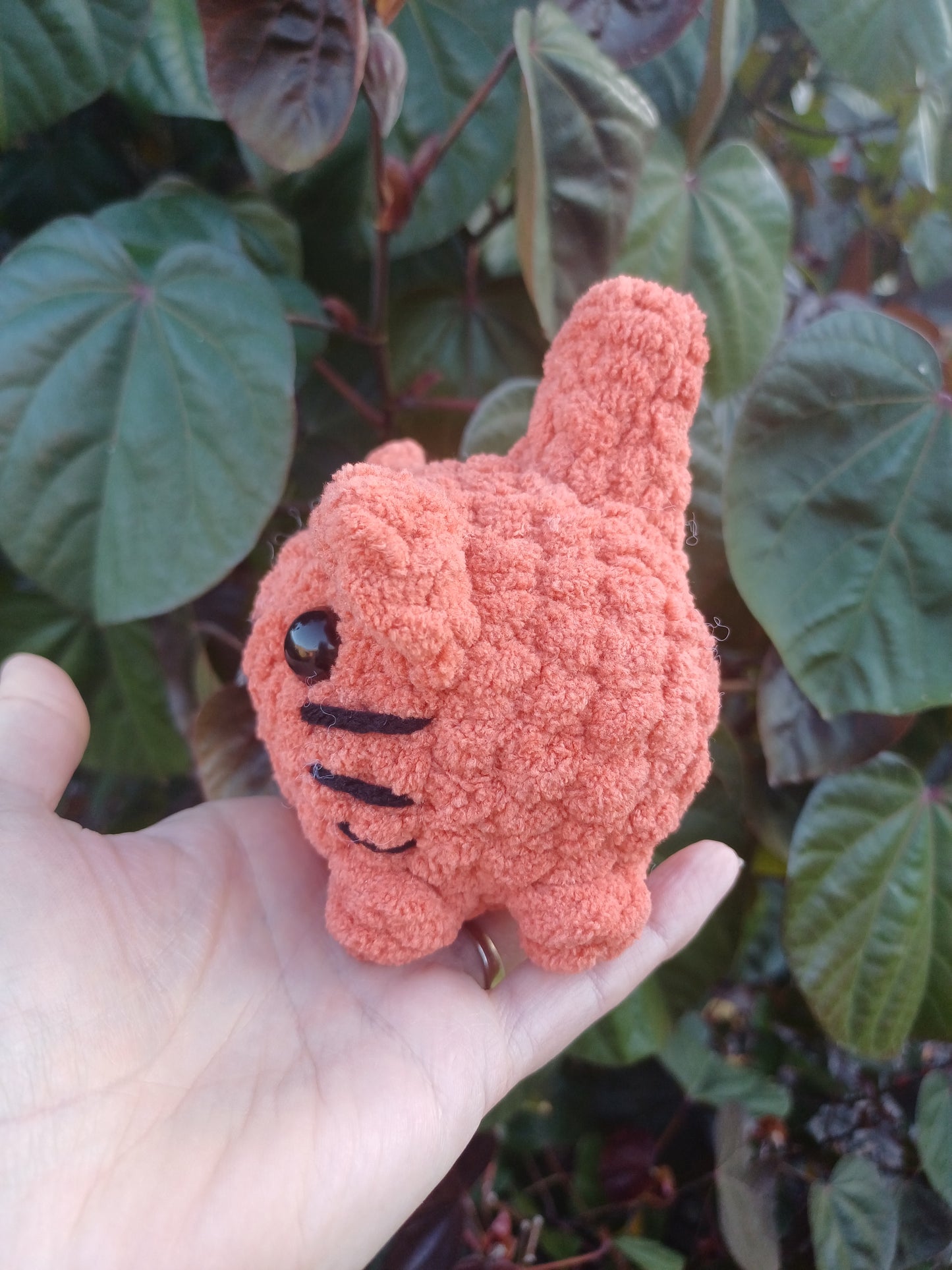 Mini Loaf Cat Orange