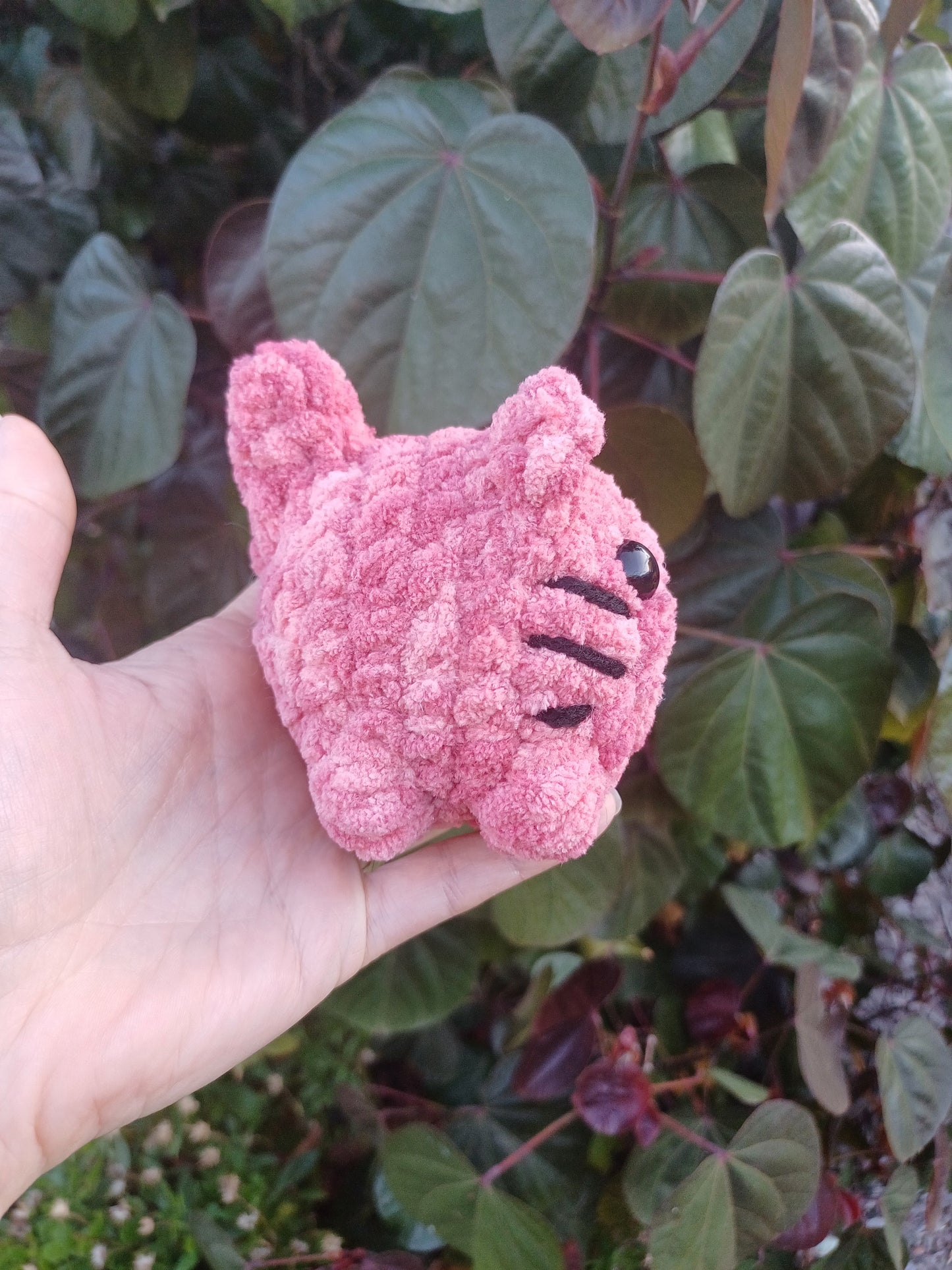 Mini Loaf Cat Pink Ombre