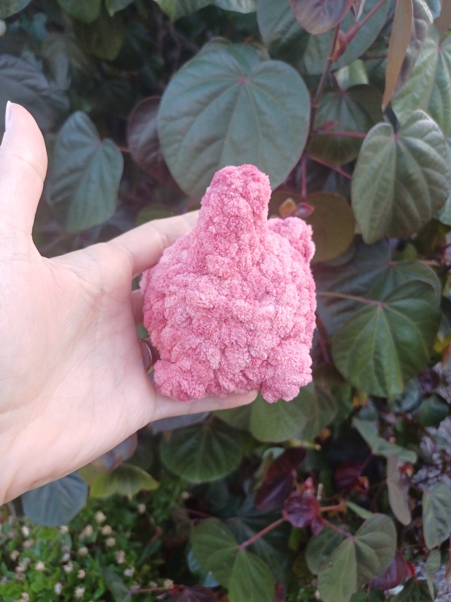 Mini Loaf Cat Pink Ombre
