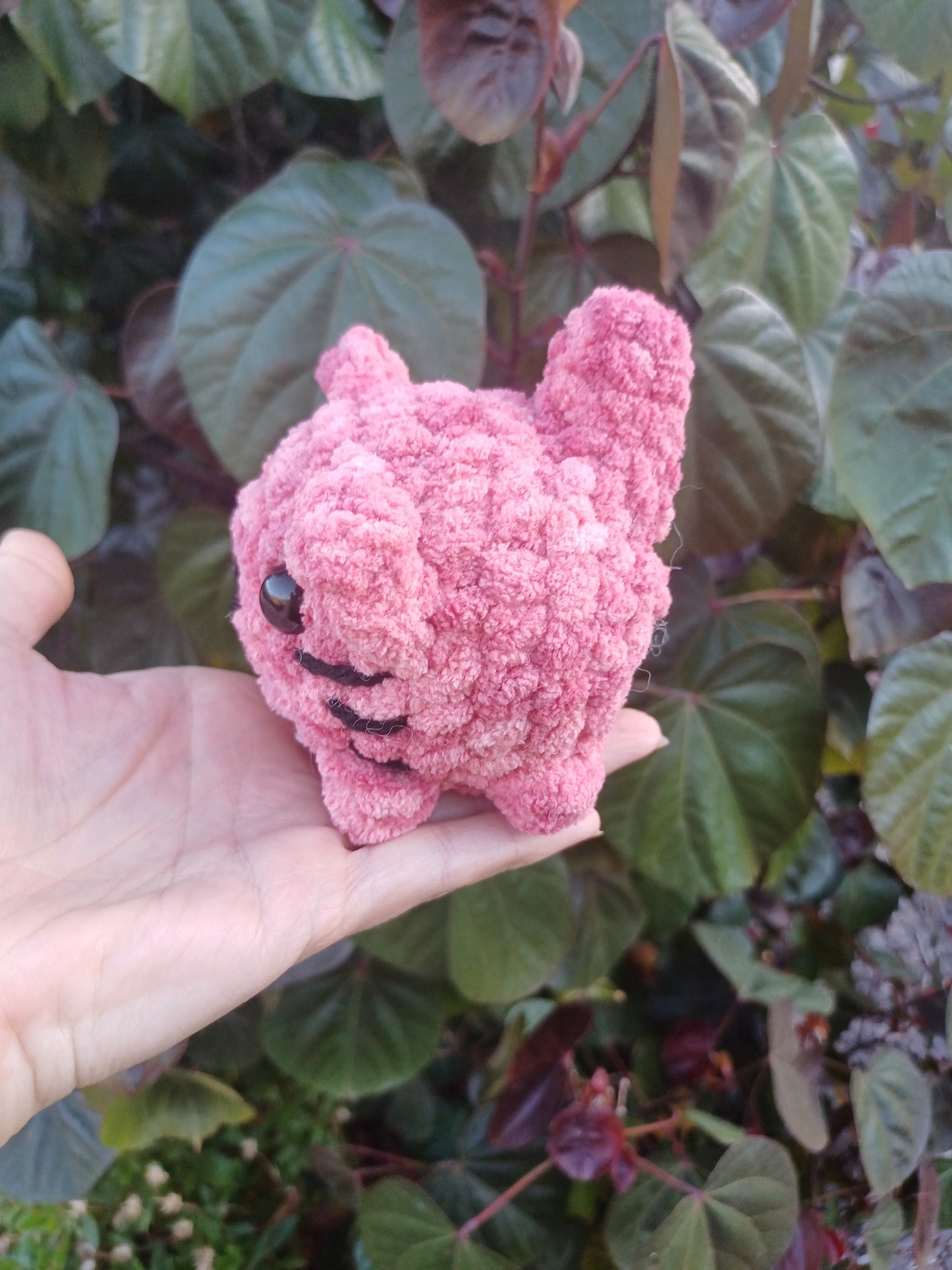 Mini Loaf Cat Pink Ombre