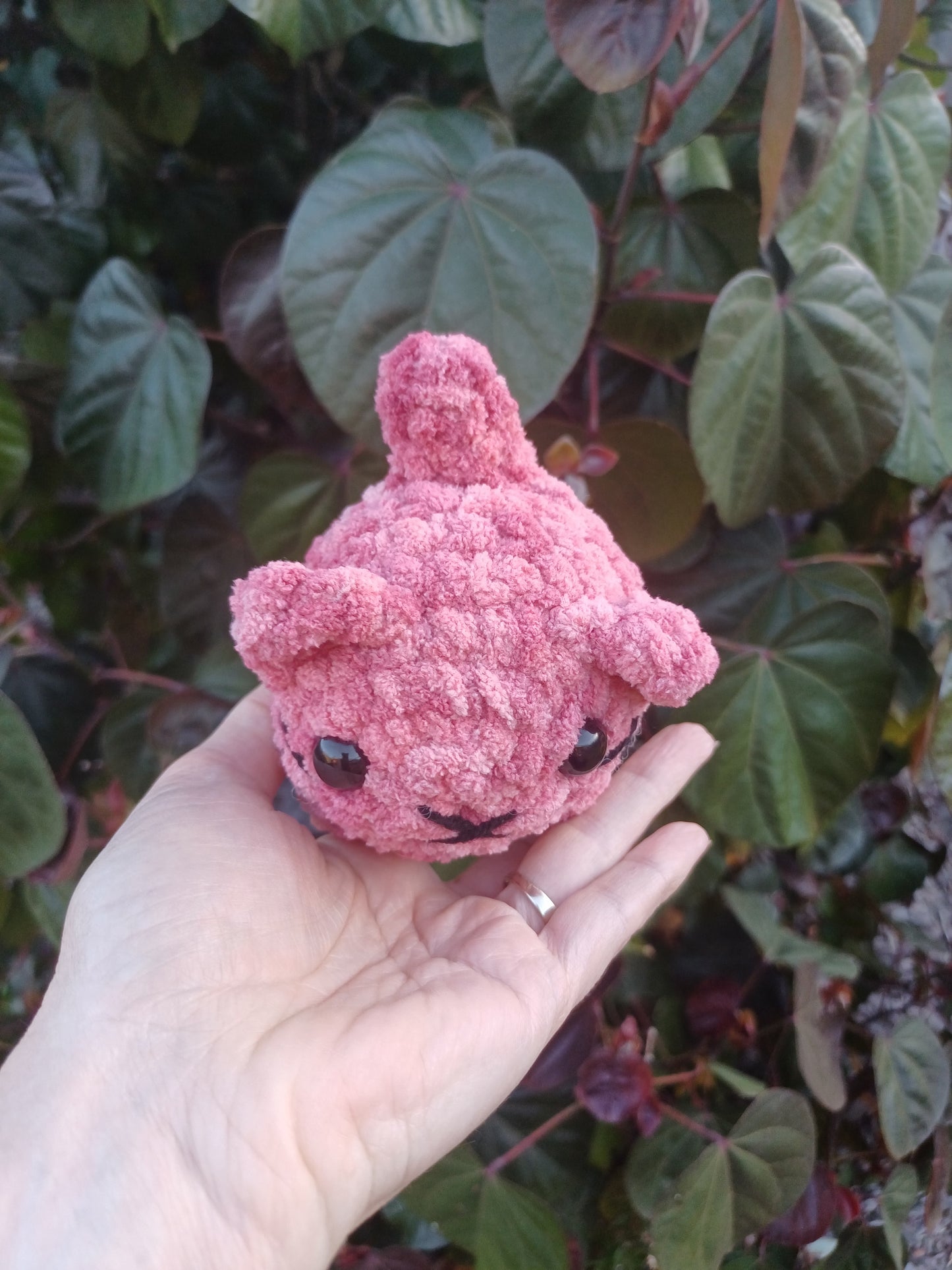 Mini Loaf Cat Pink Ombre