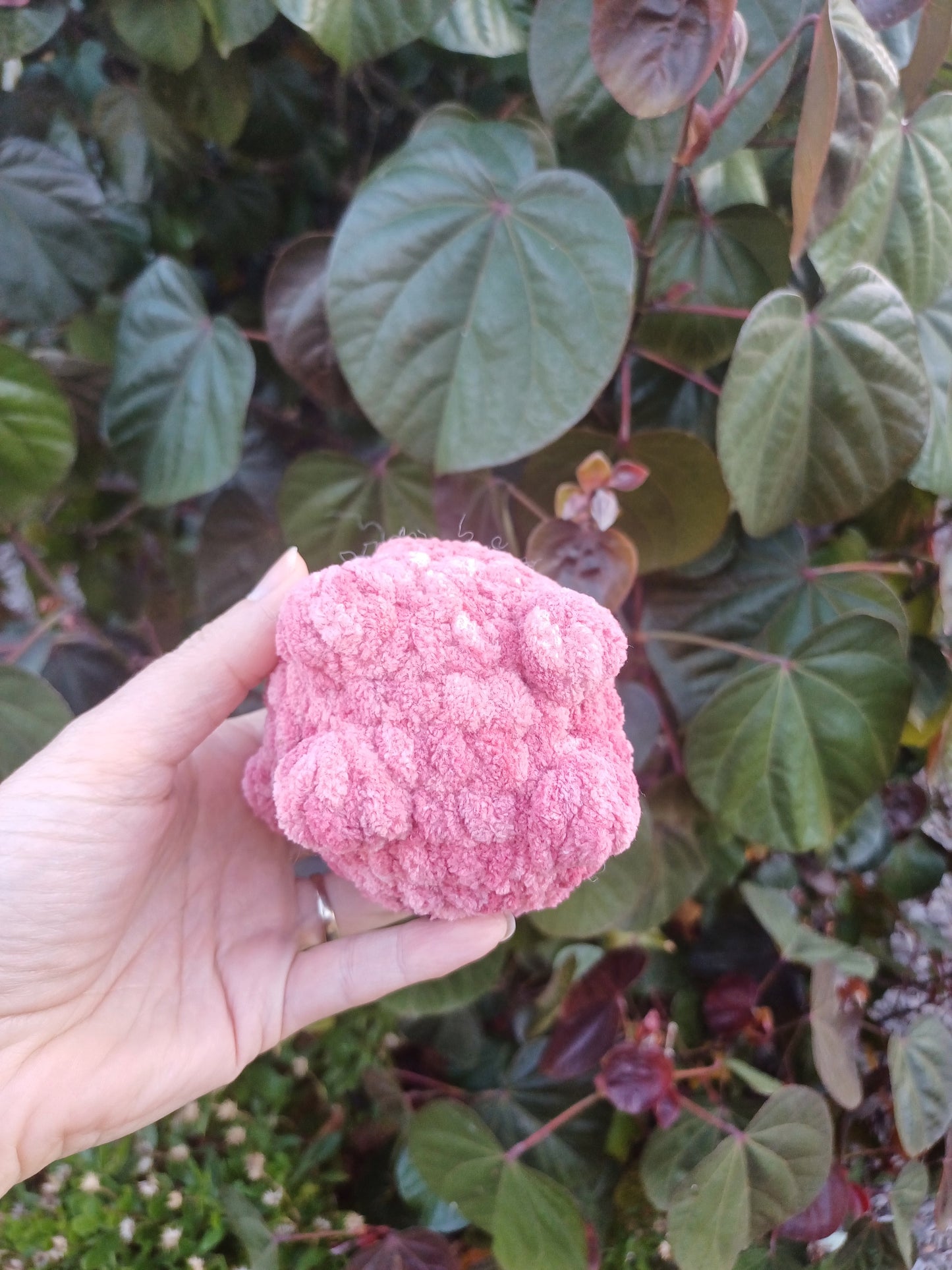 Mini Loaf Cat Pink Ombre