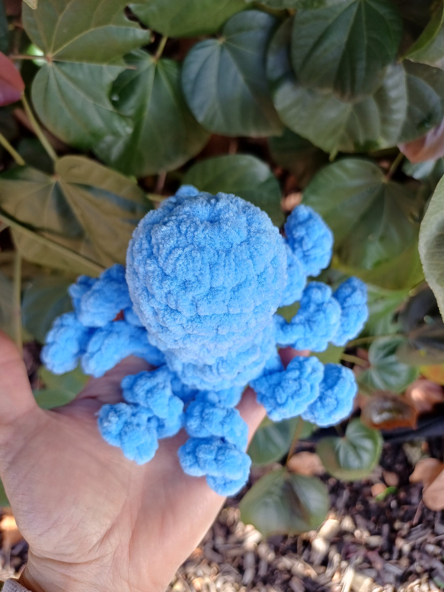 Gary the Small Octopus in Blue Crochet Plush Toy/ Handmade Crochet Small Octopus