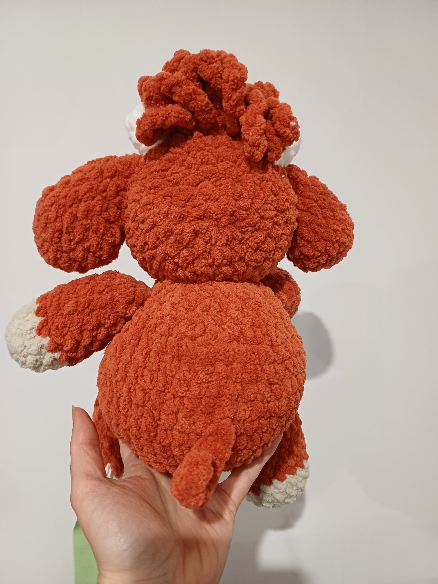 Highland Cow