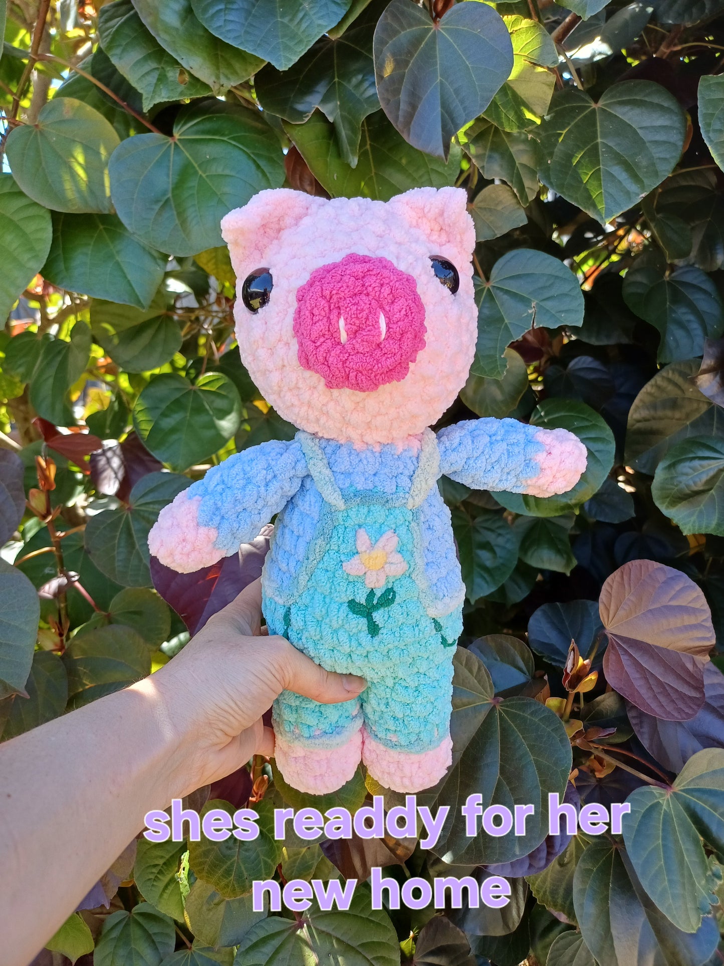 Frances The Gardening Pig