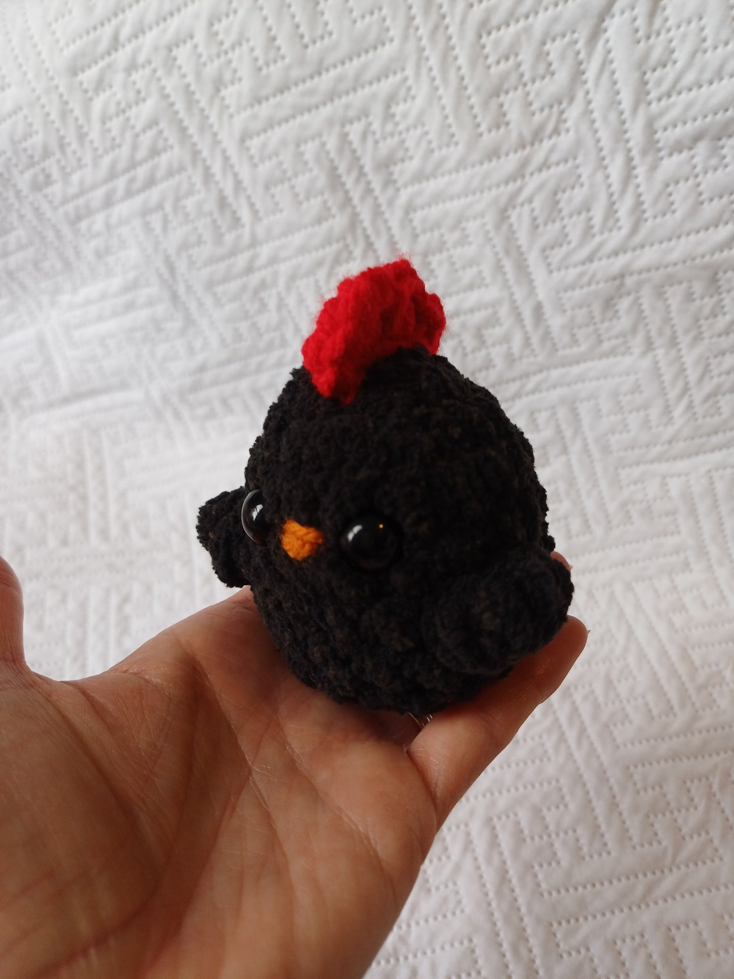 Black Mini Chicken