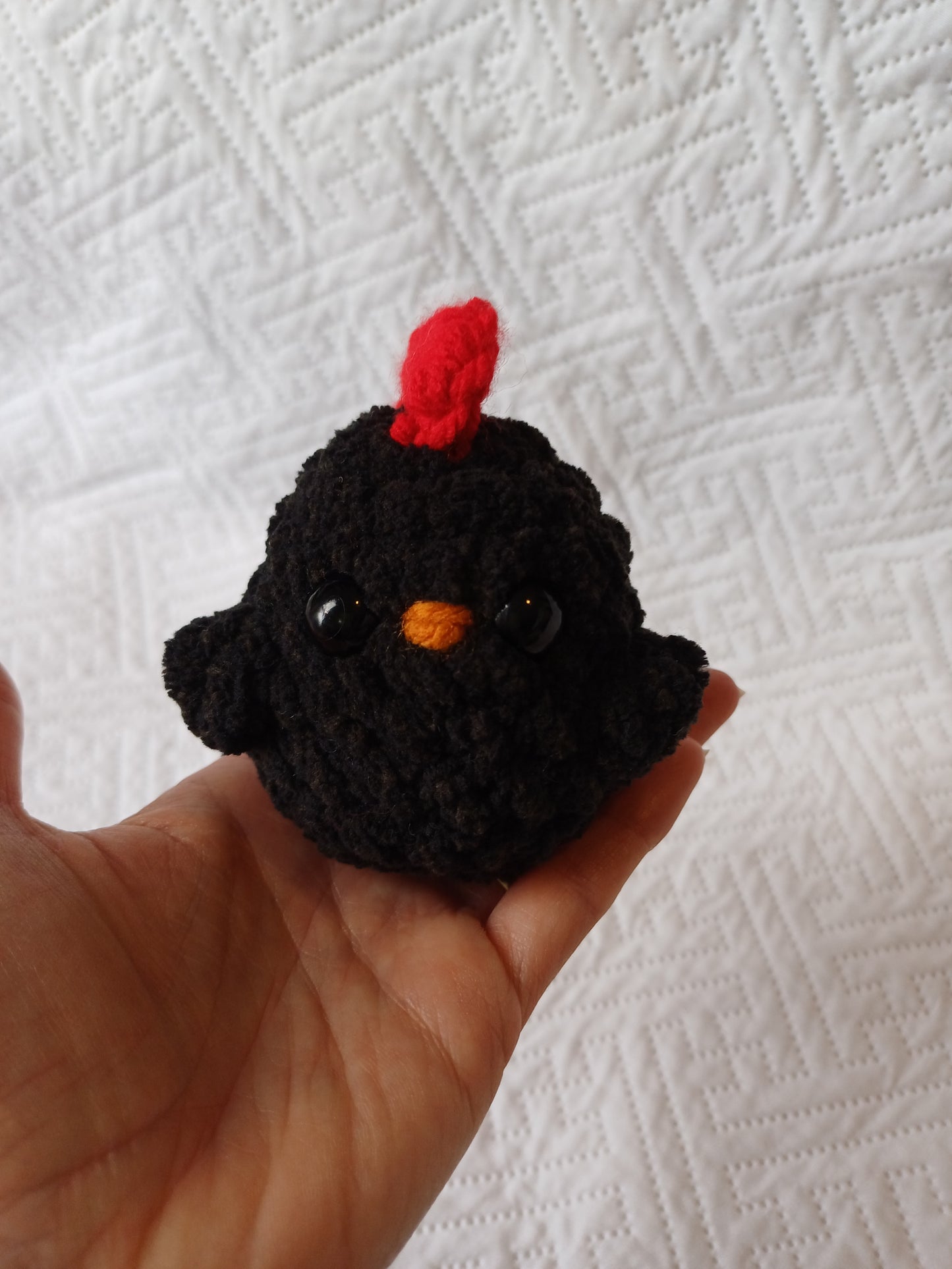 Black Mini Chicken