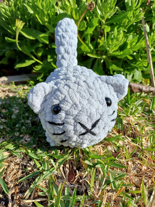 Light Grey Loaf Cat