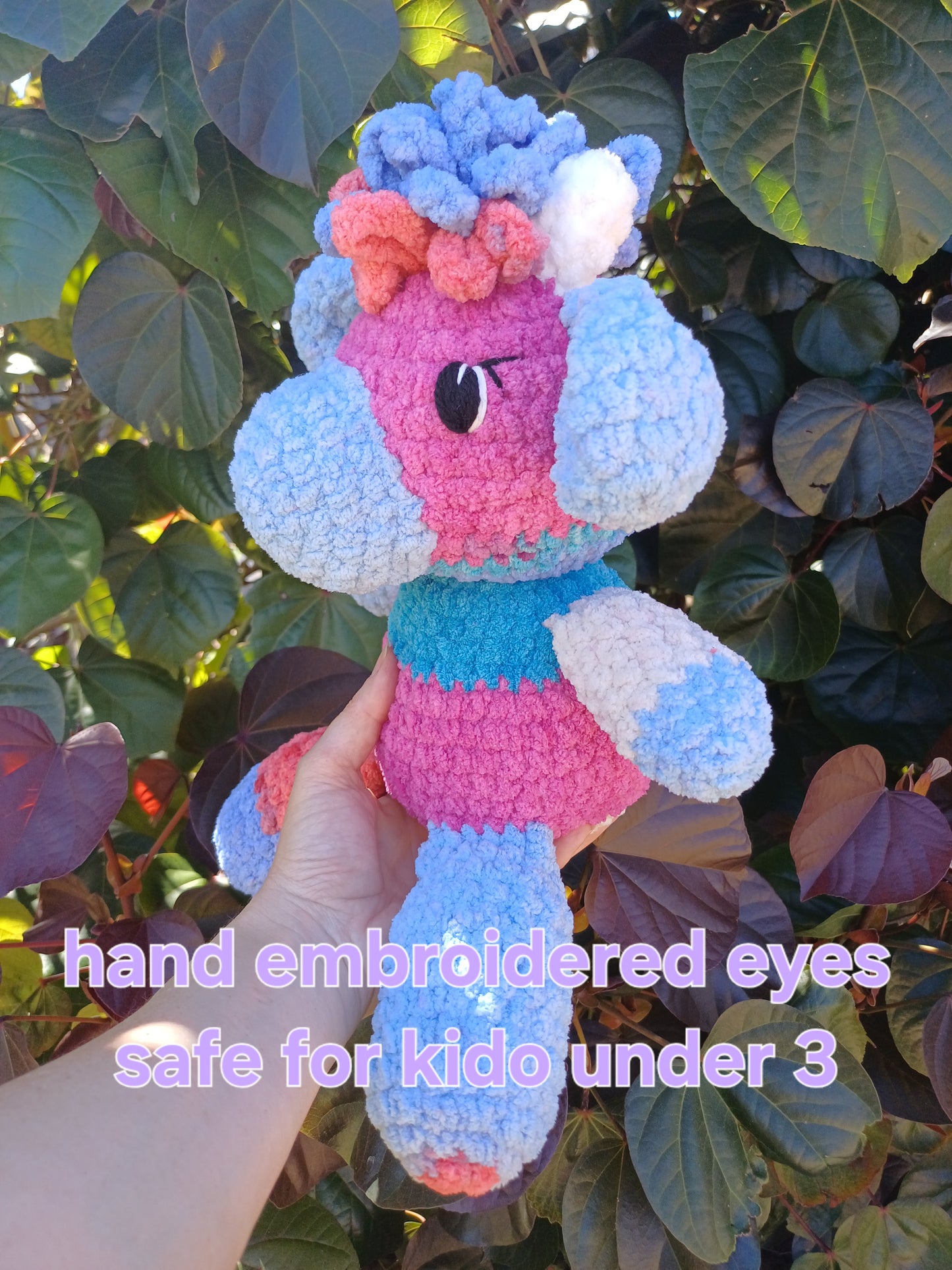 Scrappy The Highland Cow