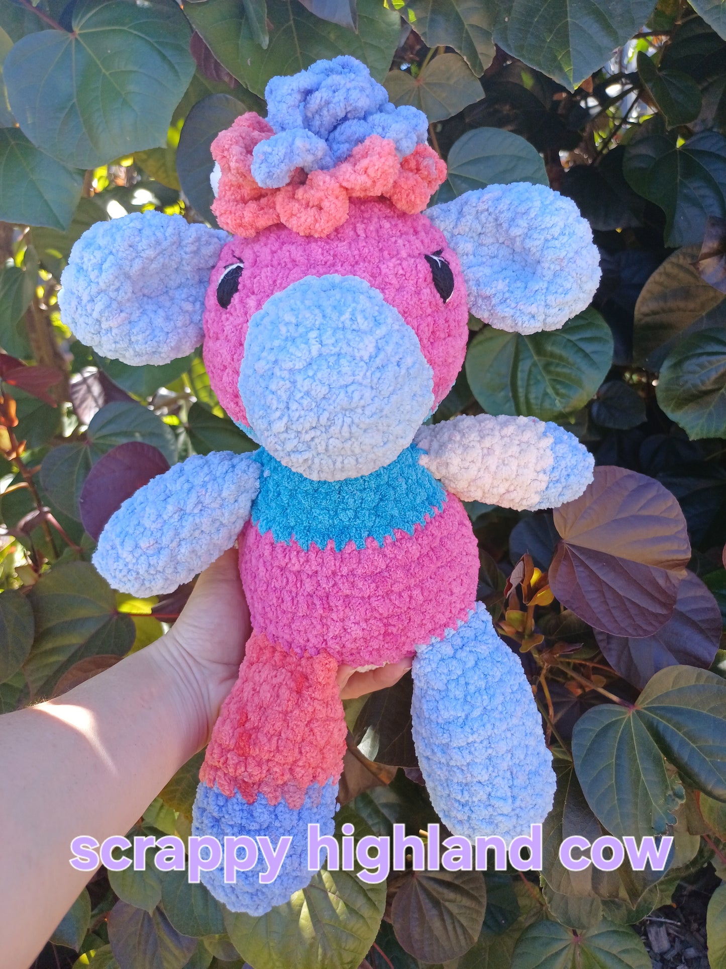 Scrappy The Highland Cow