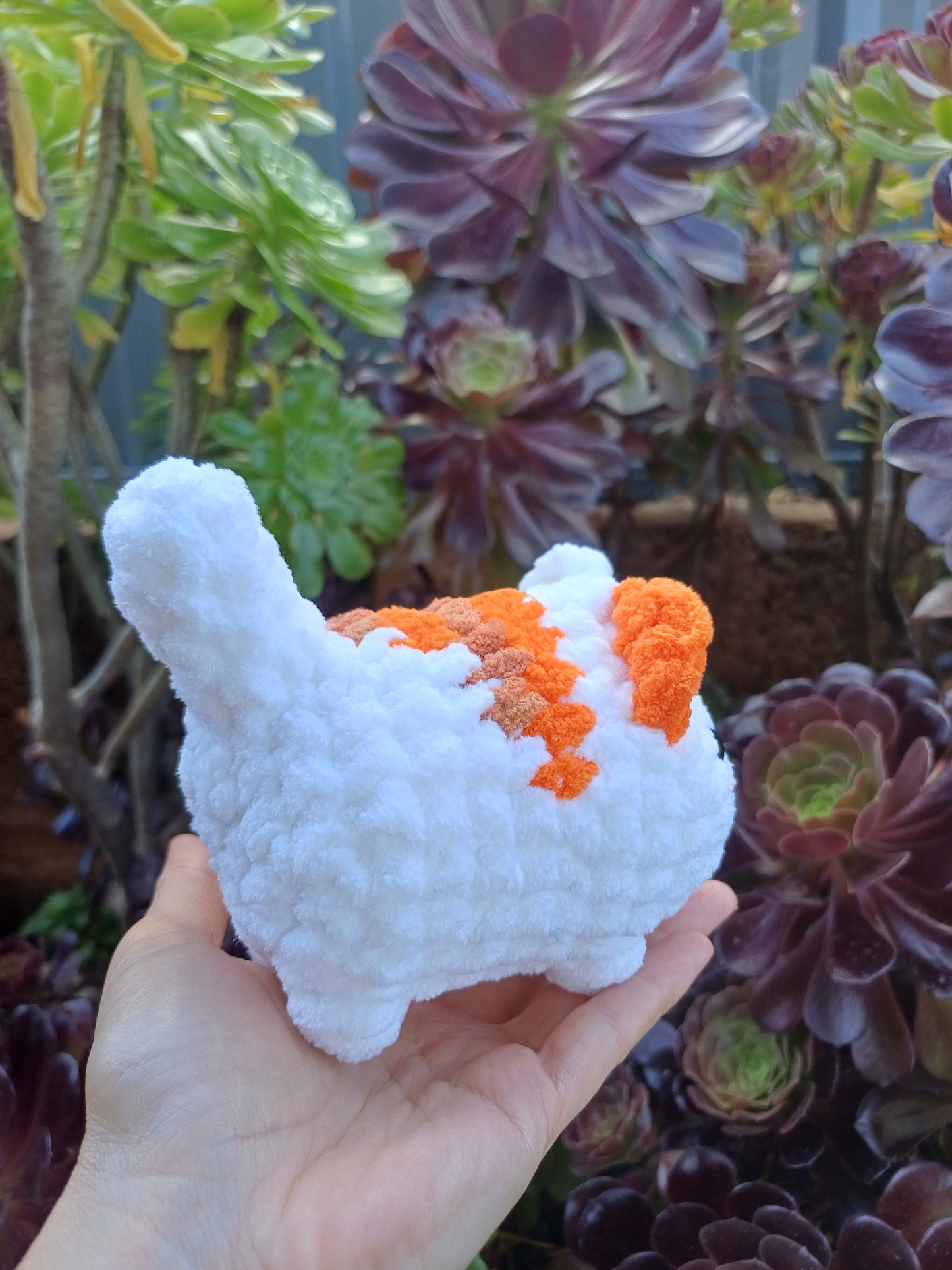 Loaf Cat Orange and White