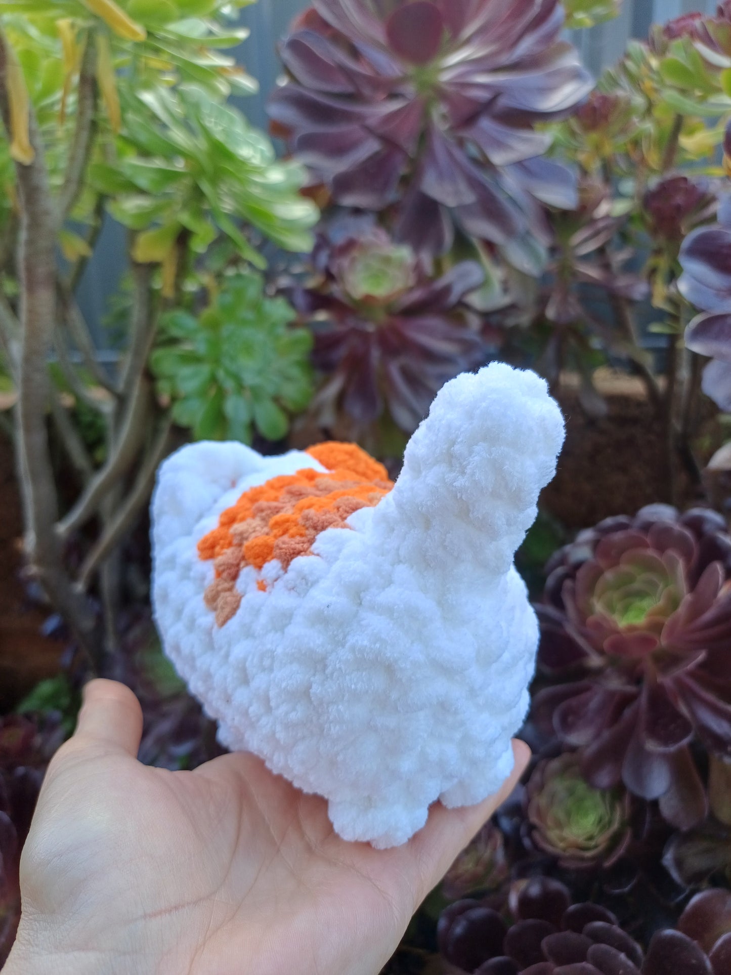 Loaf Cat Orange and White