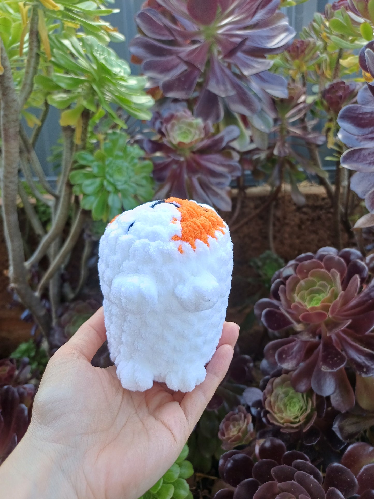 Loaf Cat Orange and White