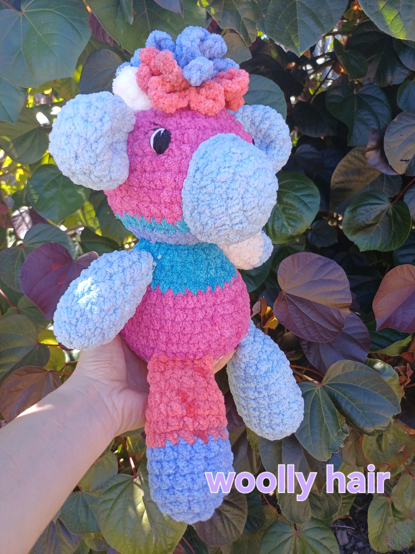 Scrappy The Highland Cow