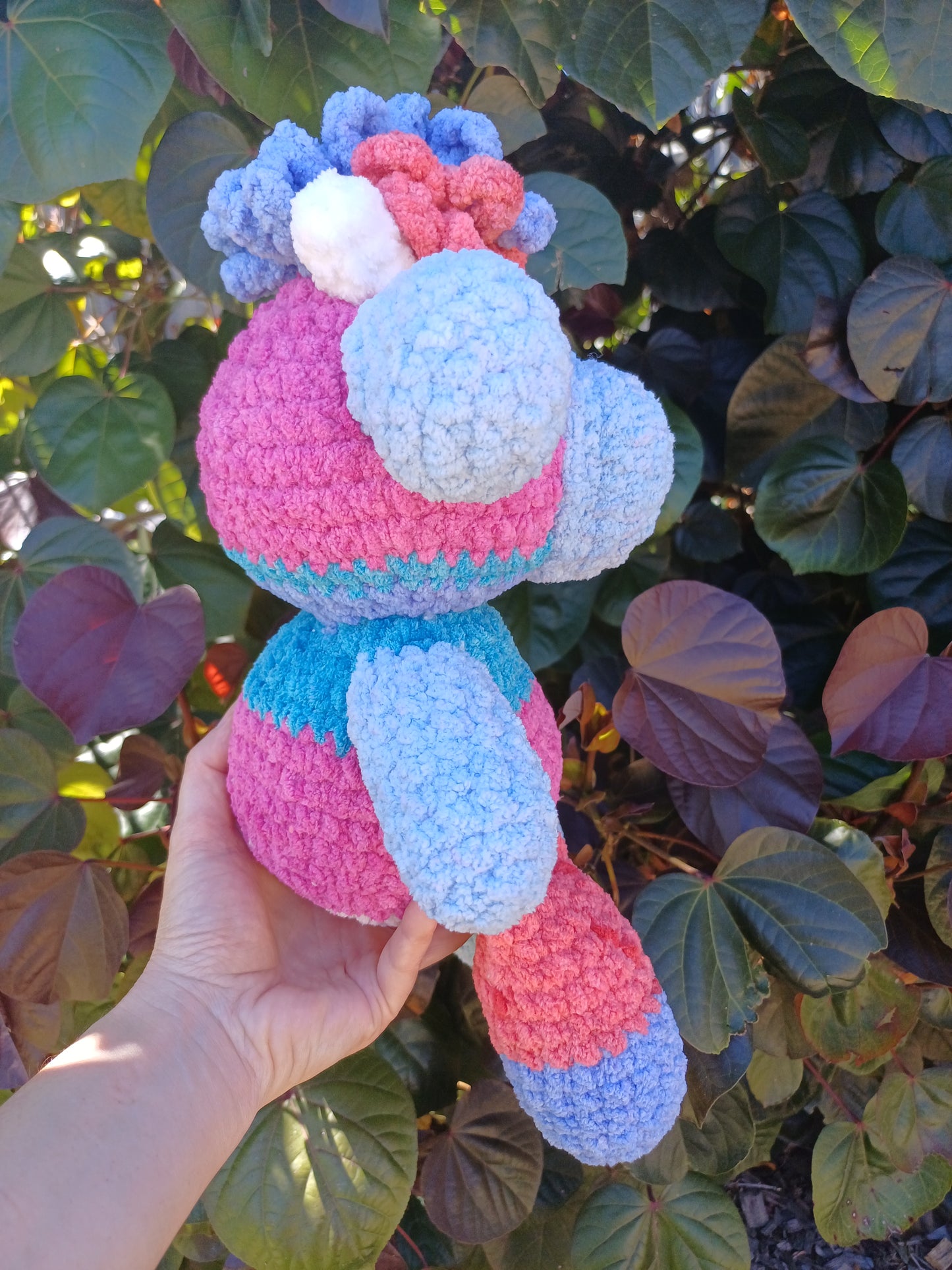 Scrappy The Highland Cow