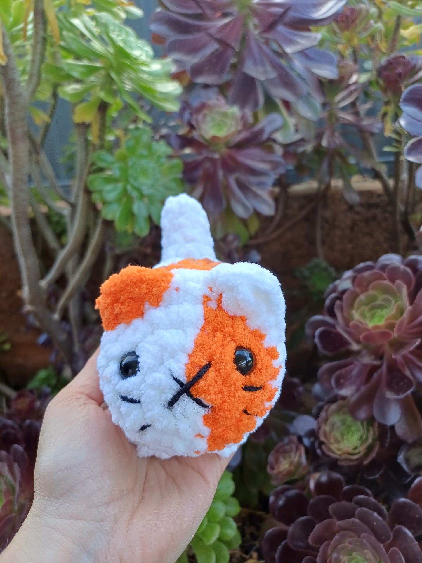 Loaf Cat Orange and White