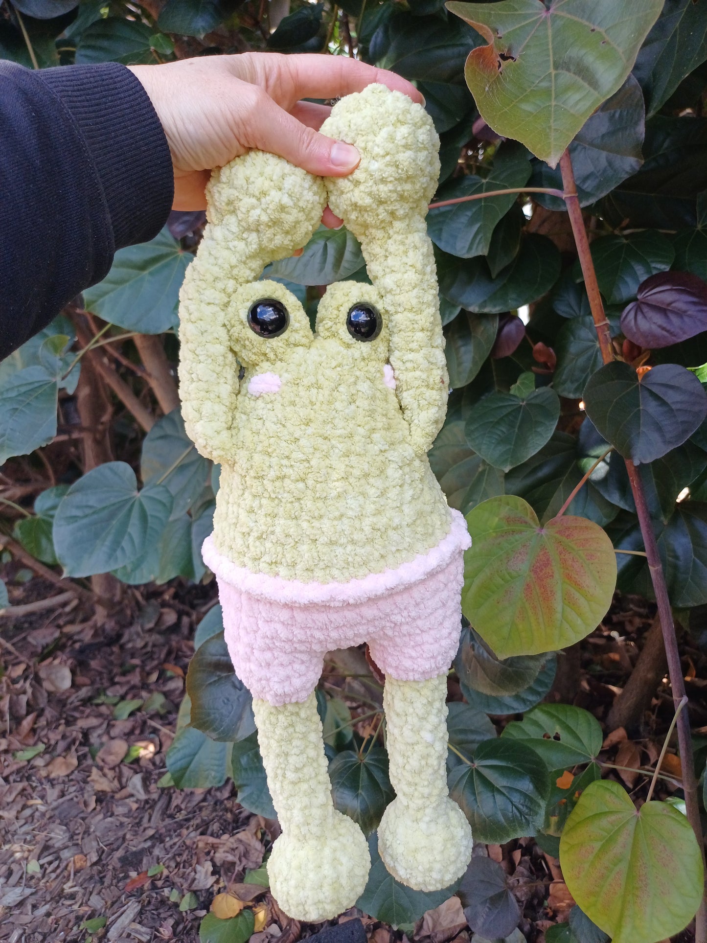 Frog Brother In Light Green and Pink Crochet Plush toy