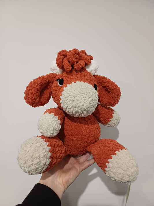 Highland Cow