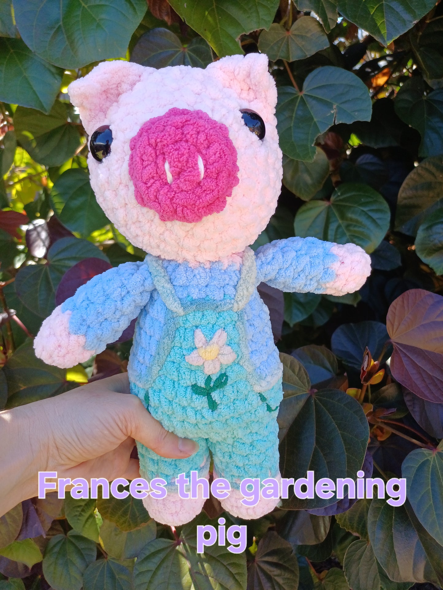 Frances The Gardening Pig