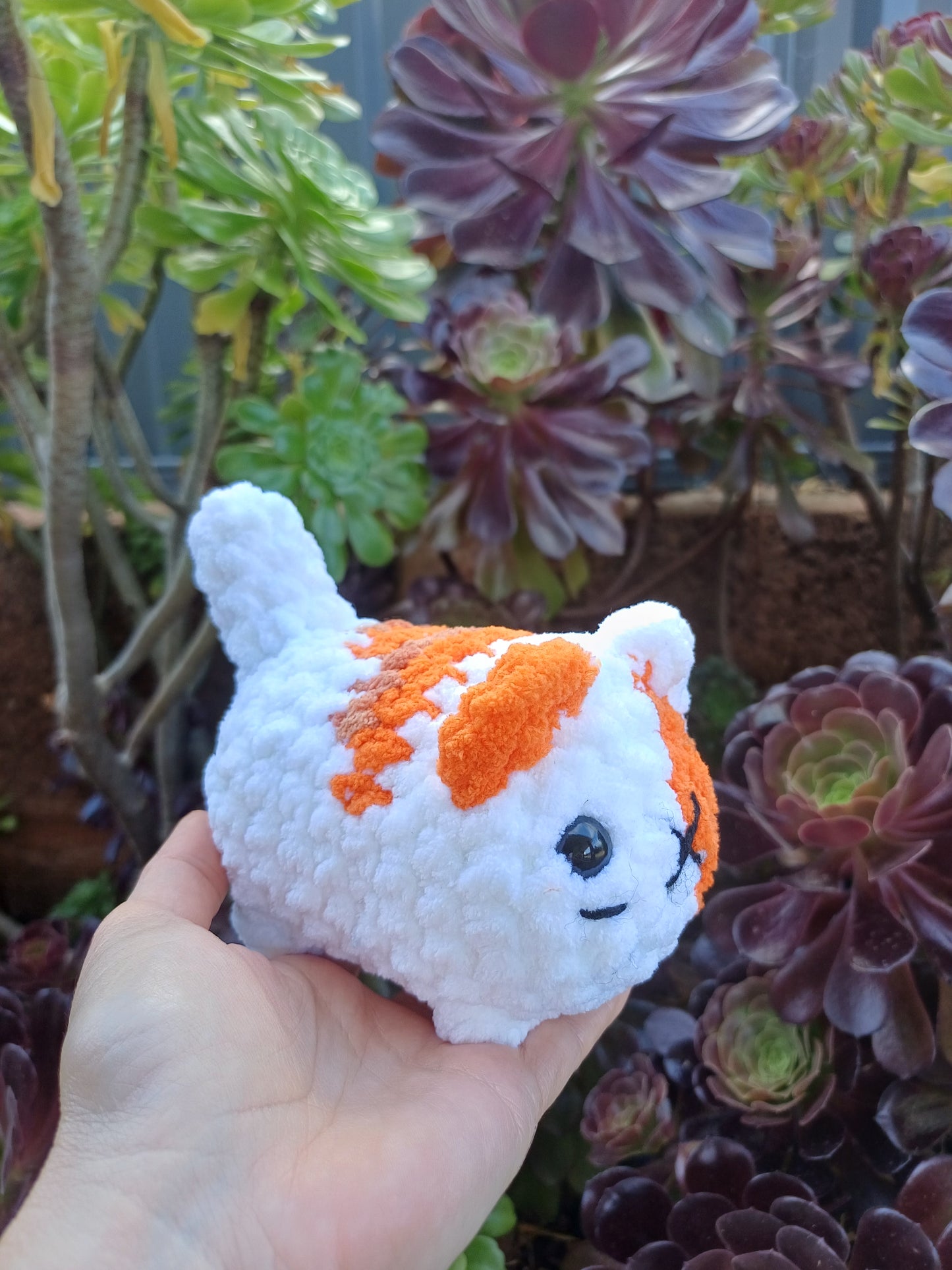 Loaf Cat Orange and White