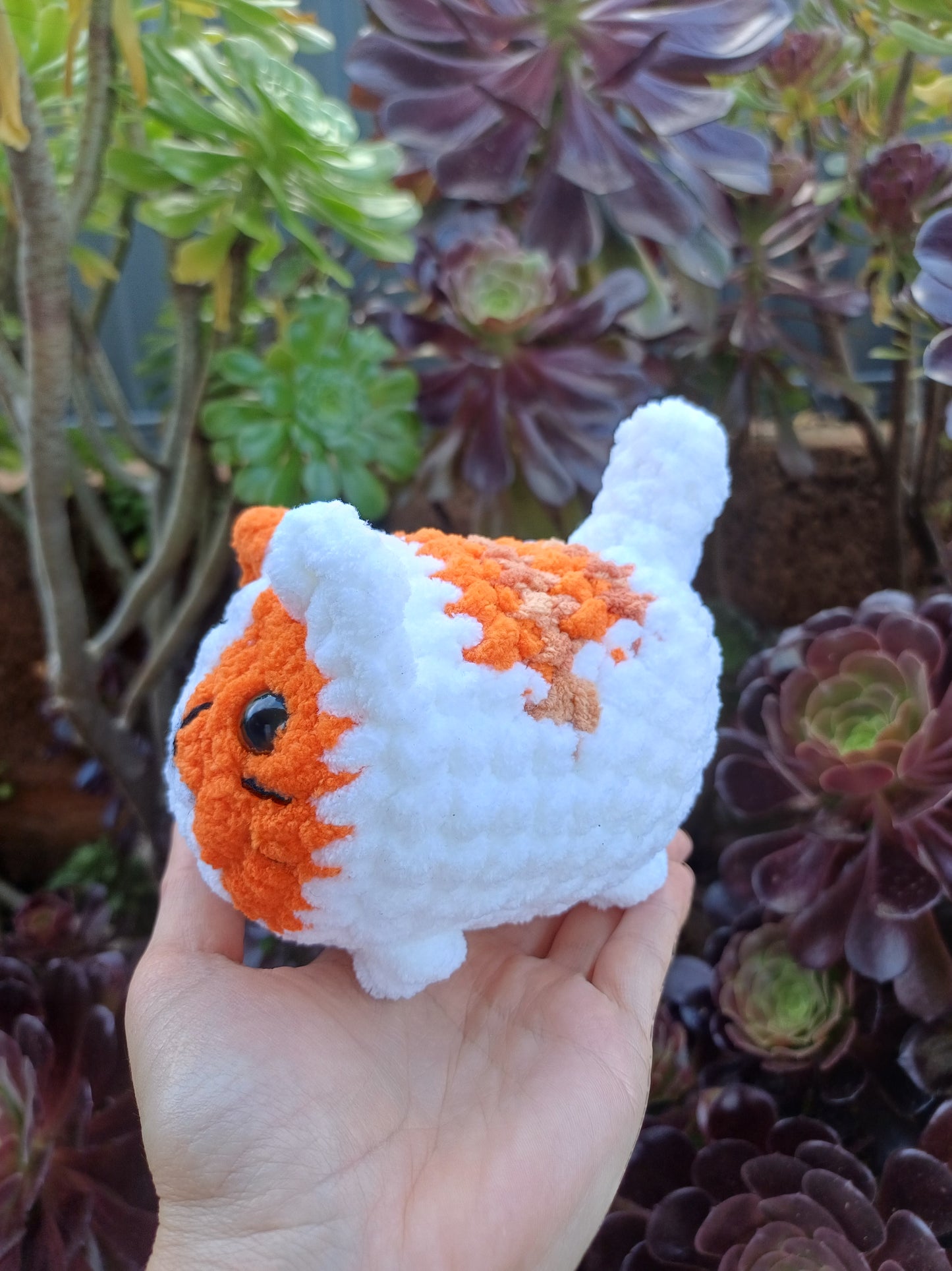 Loaf Cat Orange and White