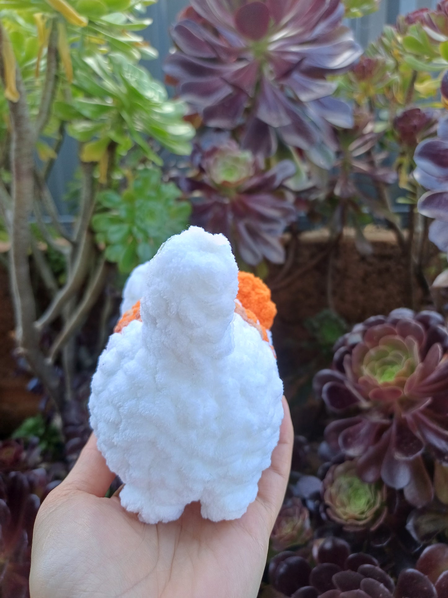 Loaf Cat Orange and White
